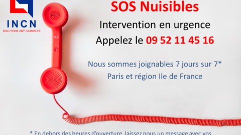 Intervention en urgence